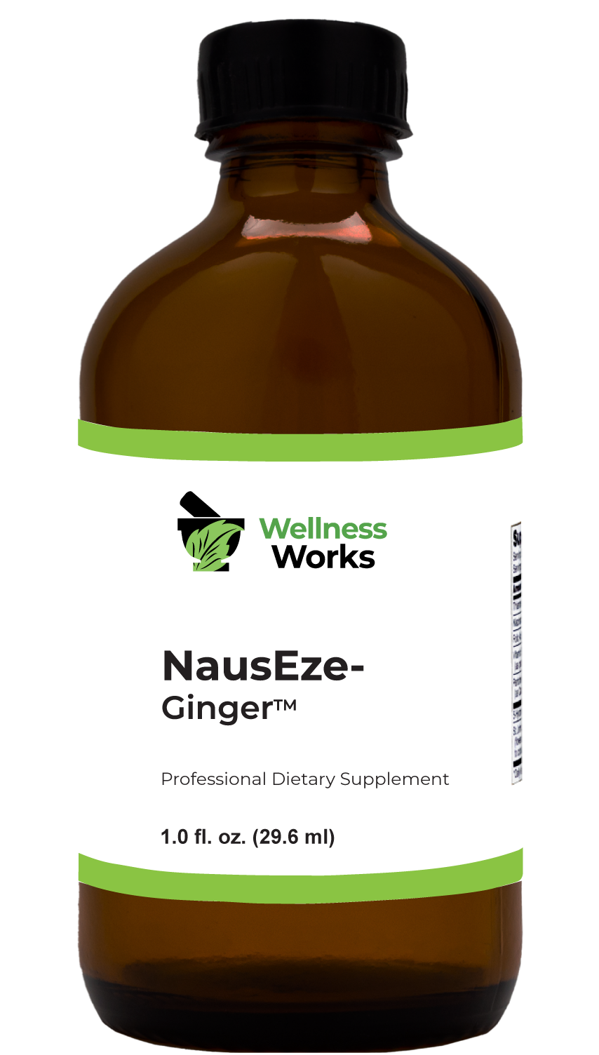 Wellness Works NausEze-Ginger (10439) Bottle Shot
