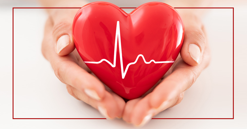 Cardiovascular Health Support Cardiovascular Health Support